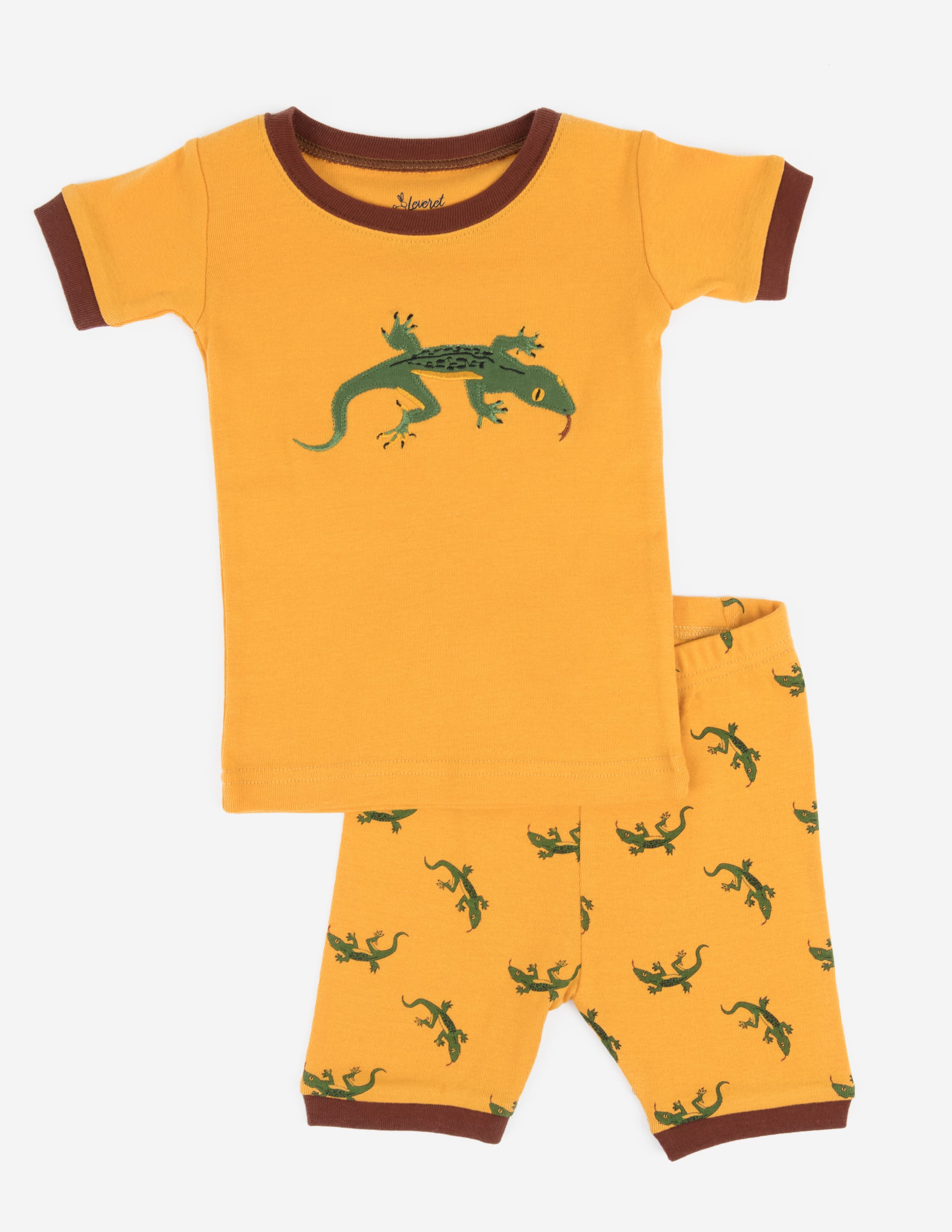 selected Lizard