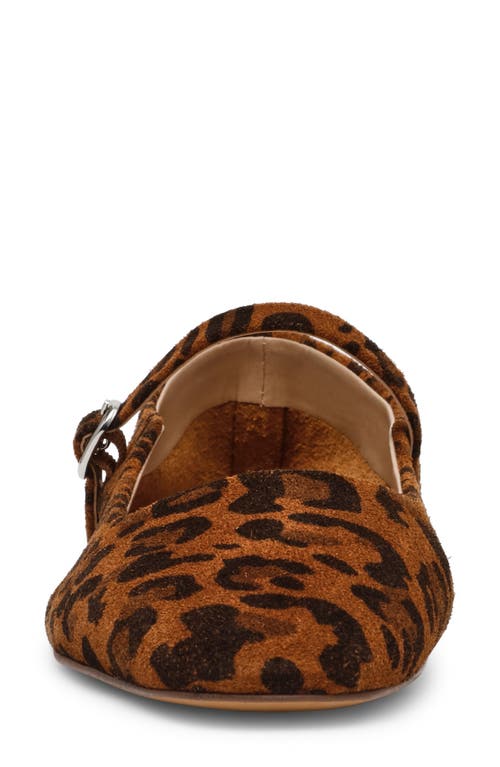 Steve Madden Maple Mary Jane Flat In Brown