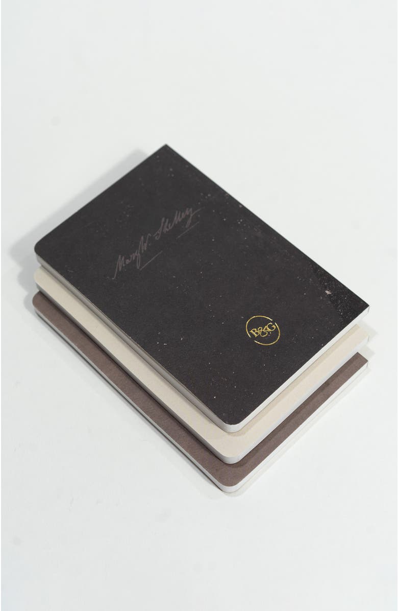 Bond & Grace Set of Three Pocket Journals - Portraits of Mary Shelley, Alternate, color, Ivory