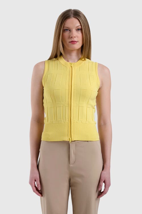 Capsule 121 The Sax Sweater In Lemon