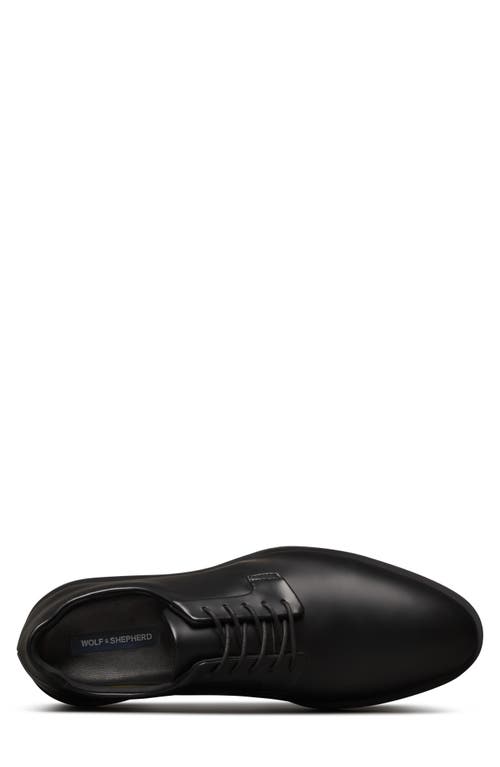 Wolf & Shepherd Closer Derby In Black