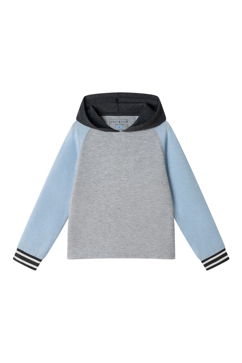 Kids' Raglan Long Sleeve Hooded T-Shirt, Main, color, GREY/LIGHT BLUE