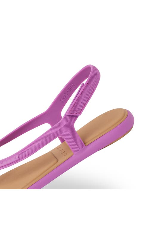 Reef Water Willow Maya Slingback Sandal In Pink