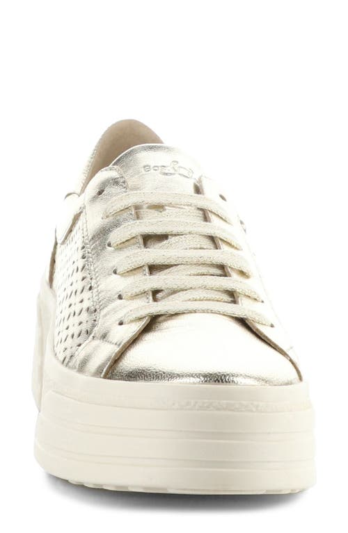 Bos. & Co. Lotta Platform Sneaker In Gold
