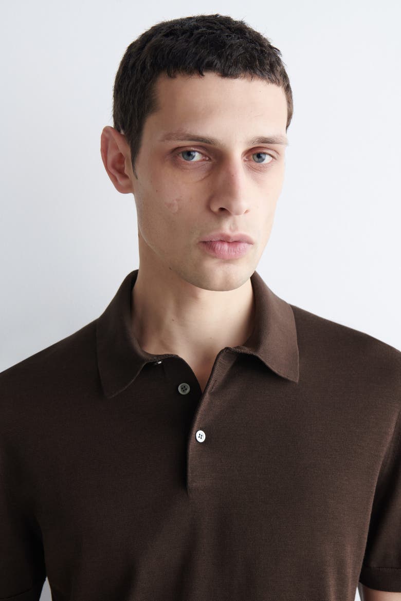 Slim Knitted Silk Polo Shirt, Alternate, color, BROWN