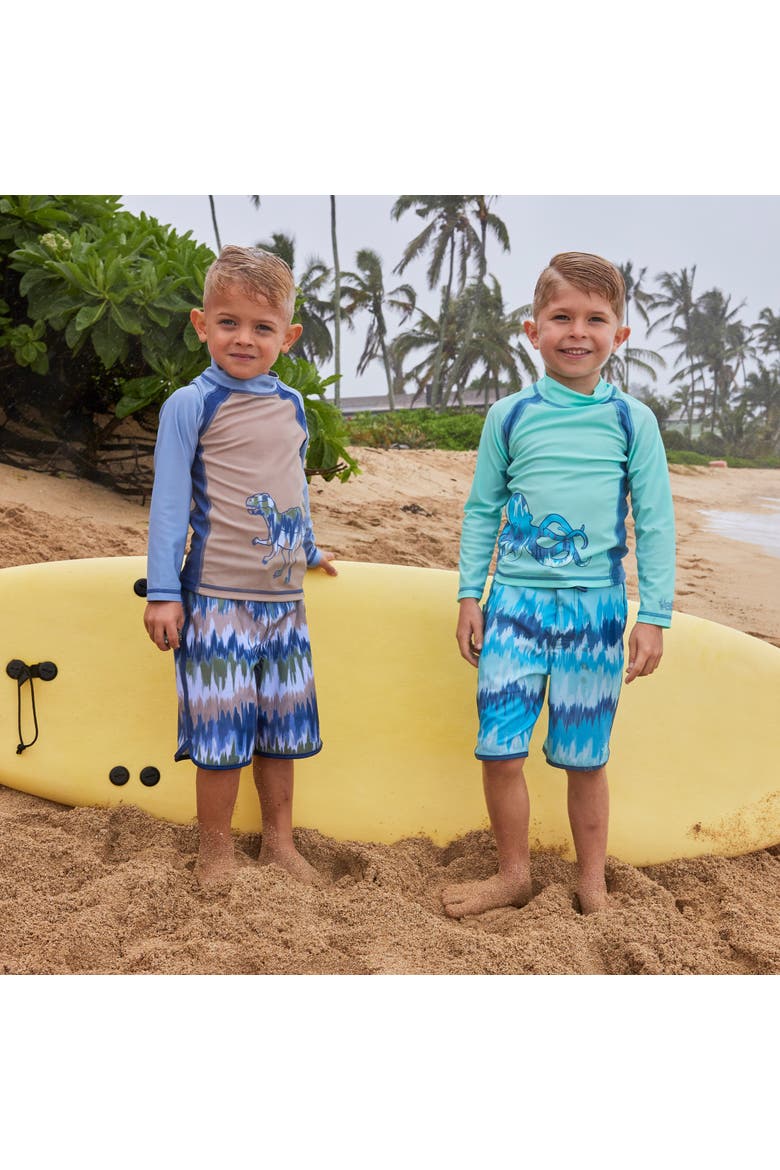 Long Sleeve Active Sun & Swim Shirt, Alternate, color, Roar Ready