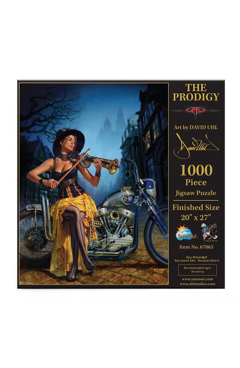 Sunsout The Prodigy 1000 piece Jigsaw Puzzle for Adults, Alternate, color, Multicolor