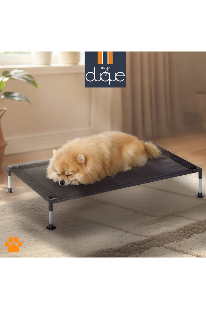 Pet Bed, 23.5 Inches x 18 Inches, Alternate, color, Black