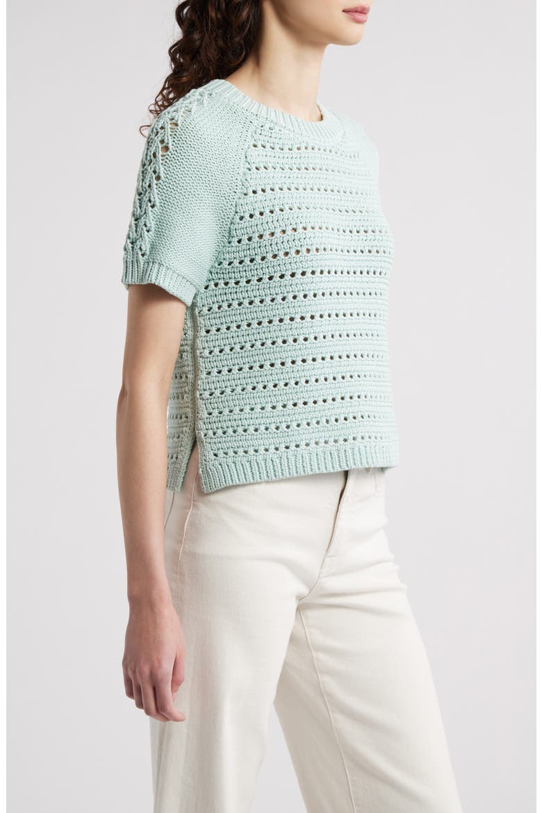 Pointelle Raglan Sleeve Sweater, Alternate, color, TEAL TIDE