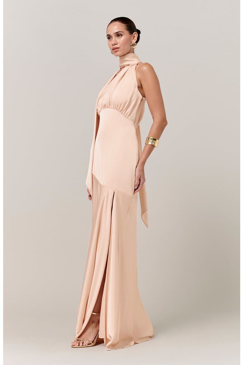 Chloe Maxi Dress, Alternate, color, Pale Pink
