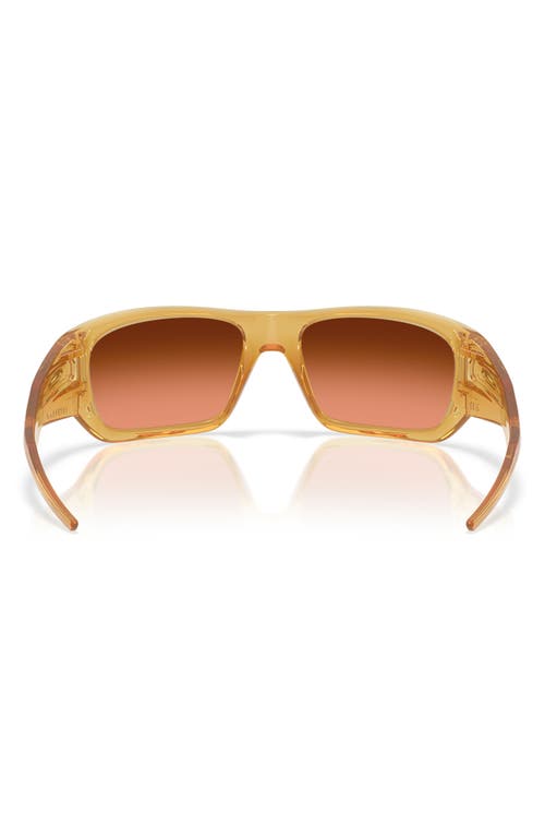 Oakley Masseter Sunglasses In Light Curry/brown
