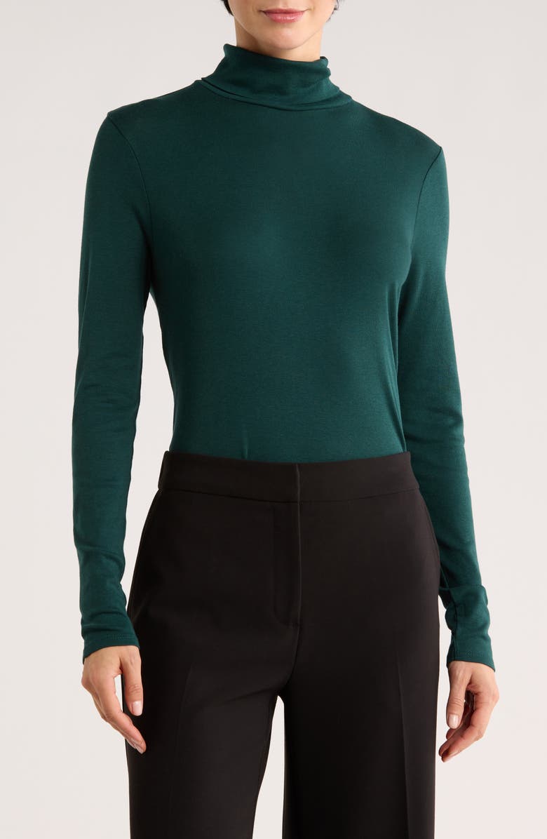 Eileen Fisher Turtleneck Long Sleeve Top, Main, color, Fir