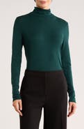 Eileen Fisher Turtleneck Long Sleeve Top