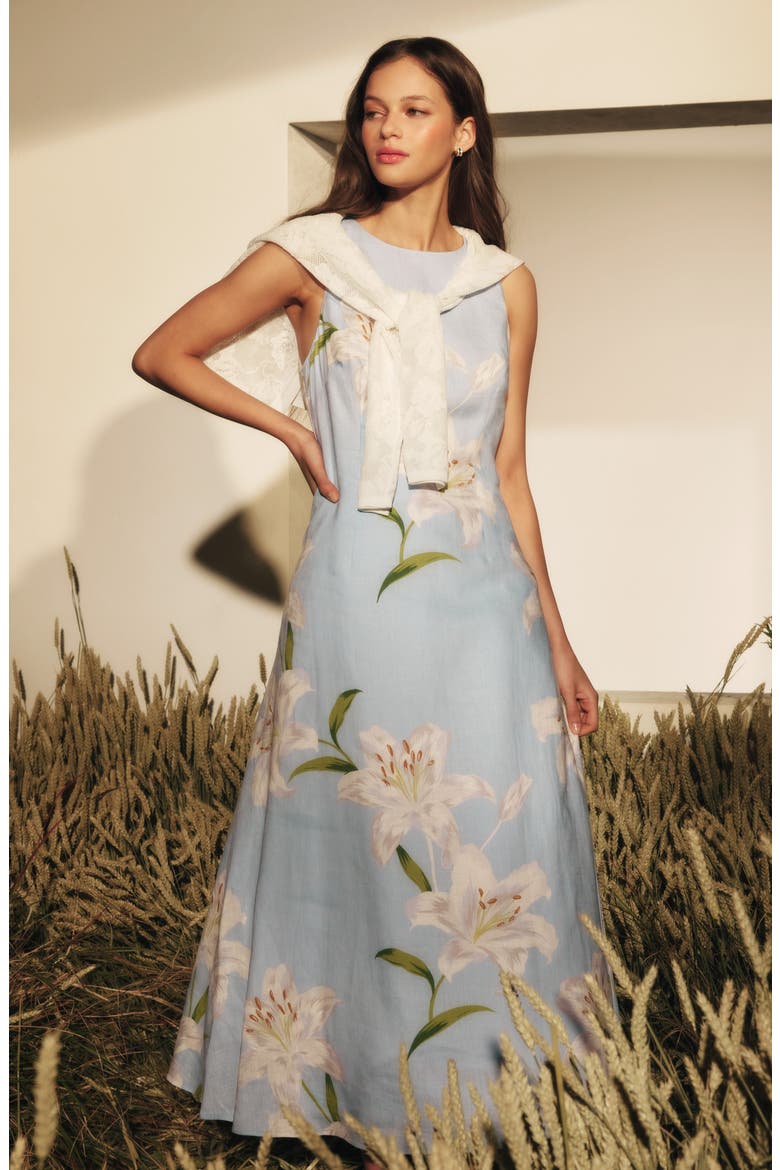 Mina Print Sleeveless Maxi Dress, Alternate, color, BLUE SURF