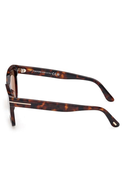 Tom Ford Haylay Acetate Rectangle Sunglasses In Shiny Dark Havana Eco