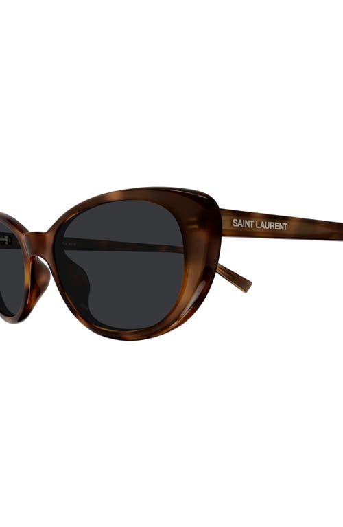 Saint Laurent 52mm Cat Eye Sunglasses In Brown