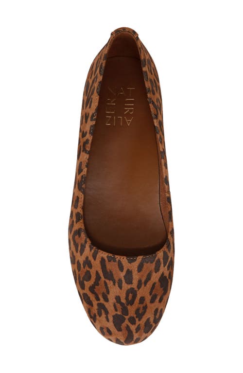 Naturalizer Maxwell Skimmer Flat In Desert Tan