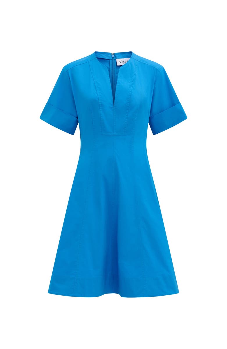 Callas Milano SORA Flared dress, Main, color,