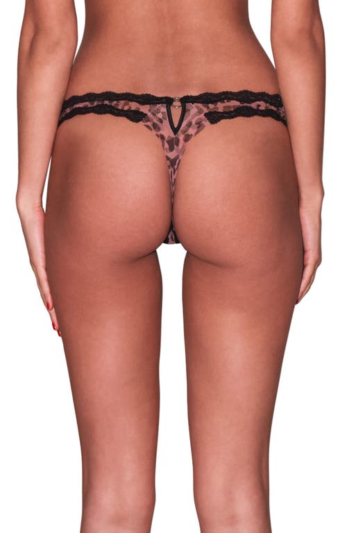 Fleur Du Mal Leopard-print Sheer Bra In Leopard Print