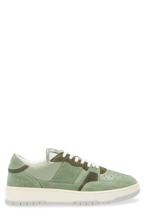 Collegium Alpha Sneaker In Multi