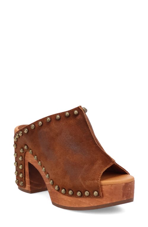 Dingo Echo Clog