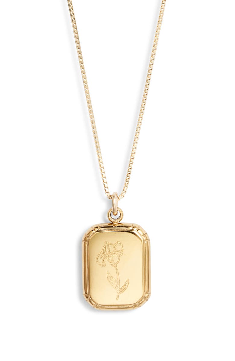 Set & Stones Audrey Birth Flower Pendant Necklace, Main, color, Gold / February - Iris