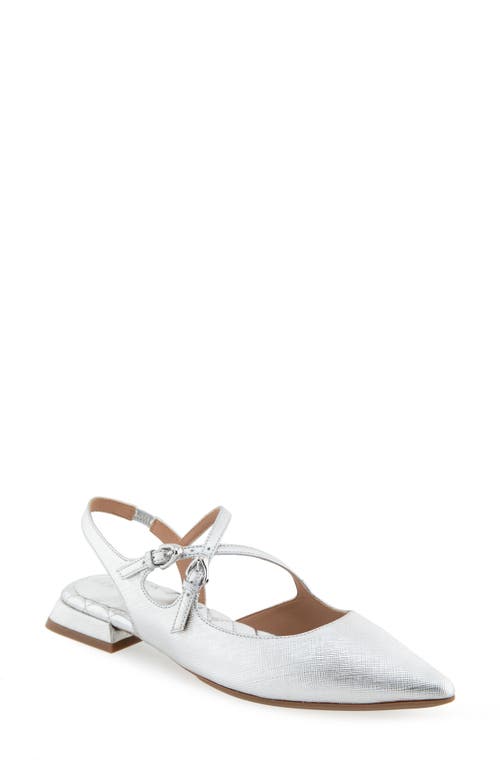AEROSOLES AEROSOLES NAPOLI POINTED TOE SLINGBACK FLAT 