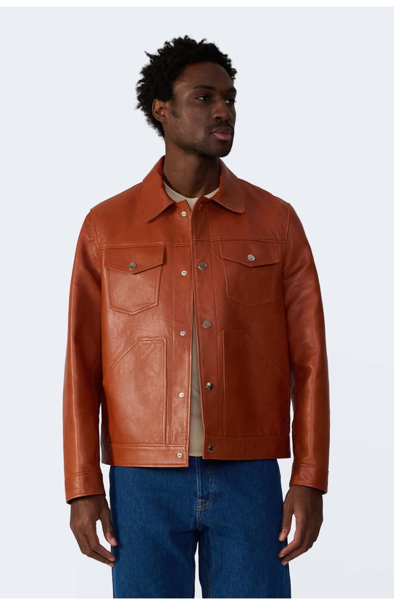 Furniq UK Jude Leather Jacket, Main, color, Whiskey Brown