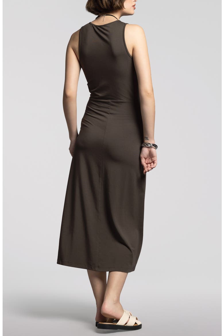 Lili Sleeveless Dress, Alternate, color, BLACK BROWN