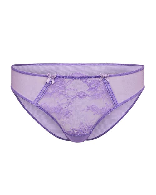 Adore Me Ela Bikini Panties In Medium Purple