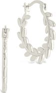 Sterling Forever Effie Vine Hoop Earrings
