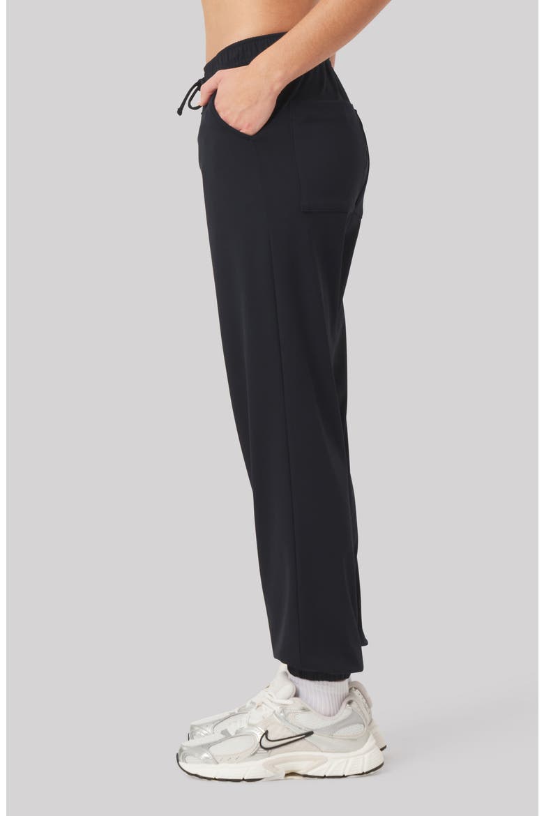 Poppy Performance Joggers, Alternate, color, BLACK