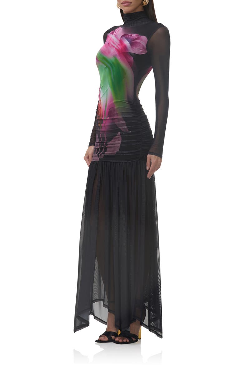 Joni Sheer Long Sleeve Turtleneck Mesh Maxi Dress, Alternate, color, PINK PEONY BLUR