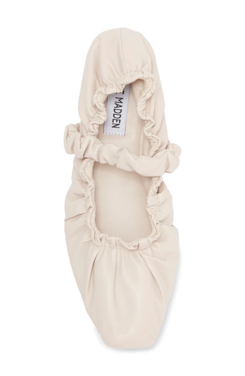 Steve Madden Yandy Ballet Flat In Bone