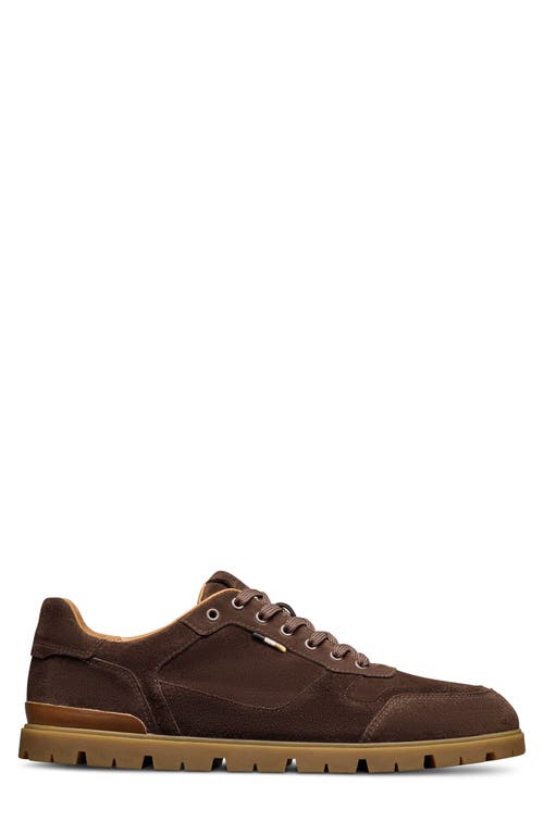 Allen Edmonds Vail Sneaker In Brown
