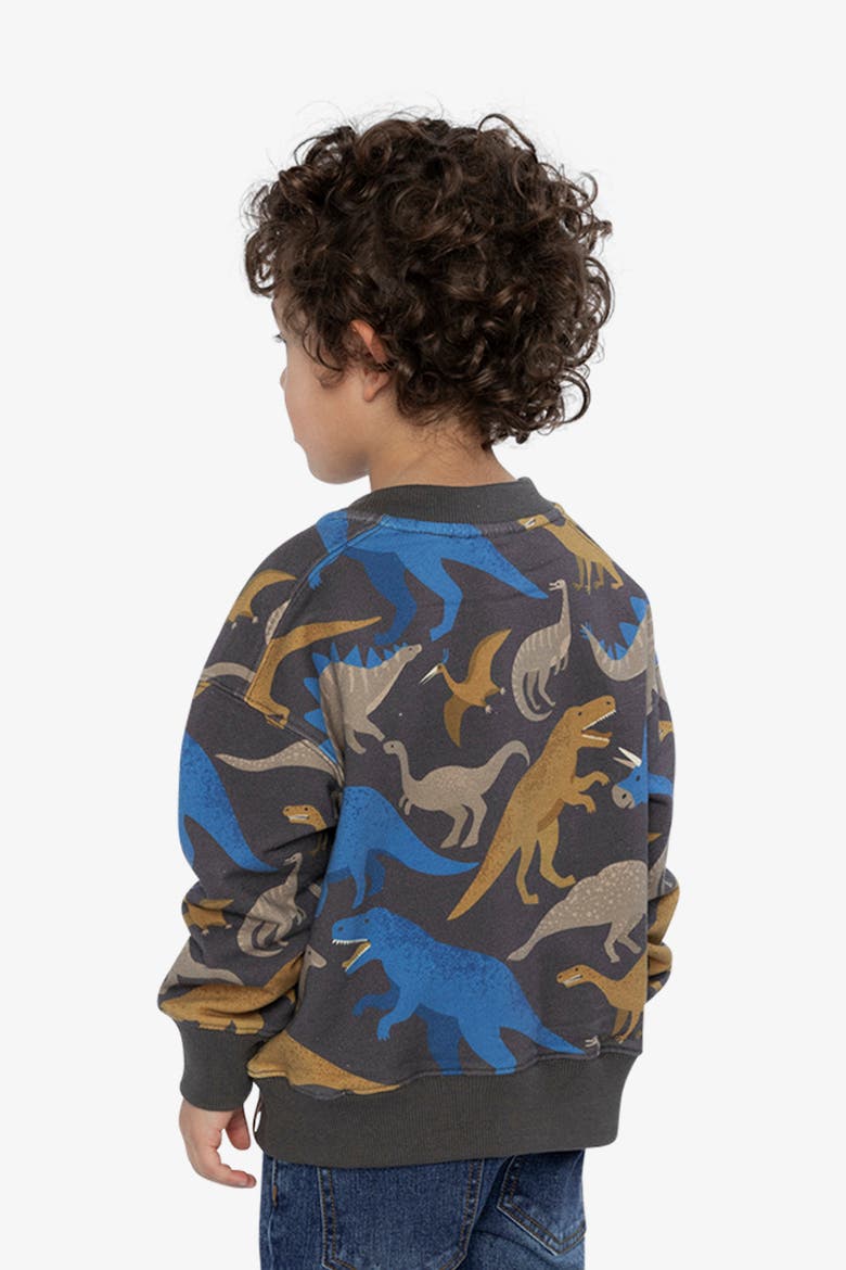 Crew Neck Dinosaur Fleece Sweatshirt, Alternate, color, Grey Dinosaur Print