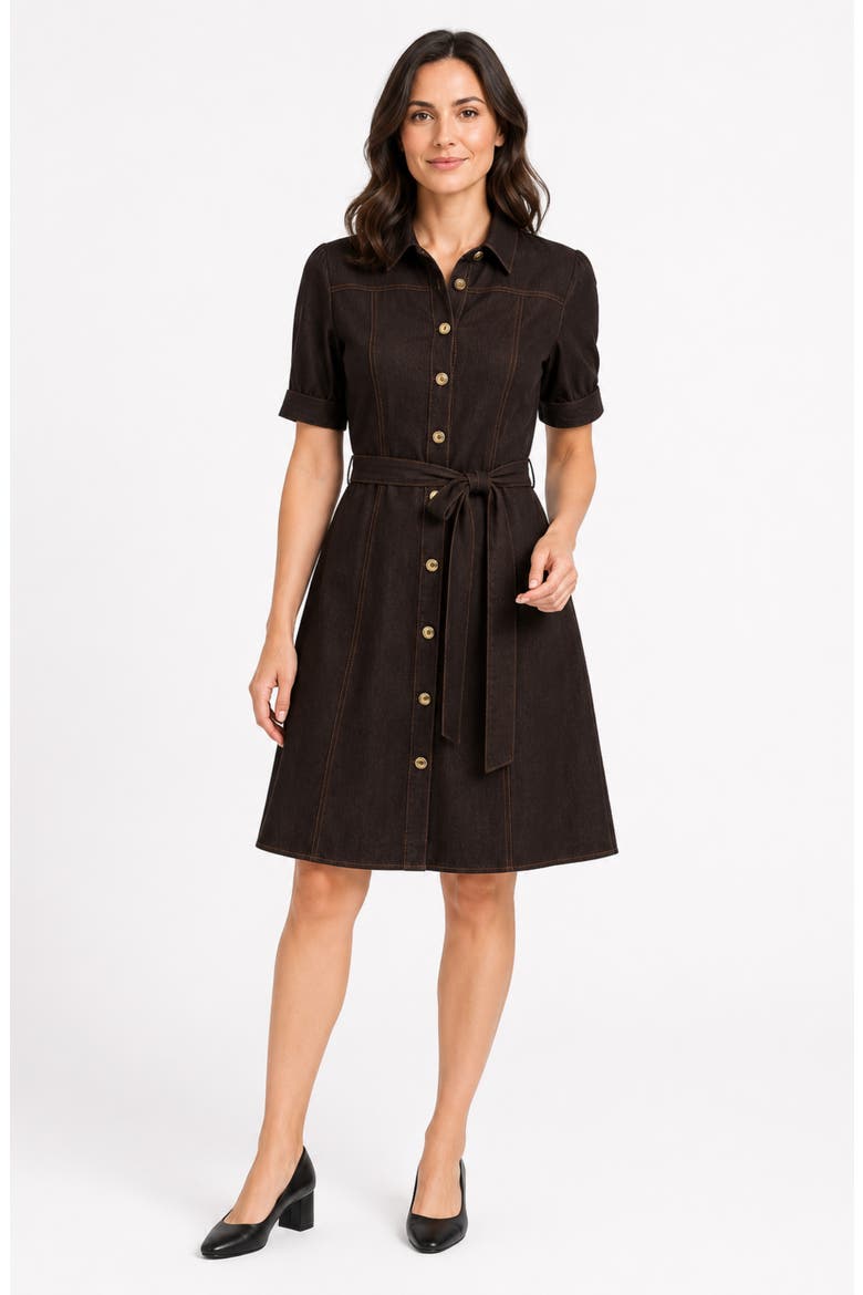 Denim Short Sleeve Shirtdress, Alternate, color, CHOCOLATE