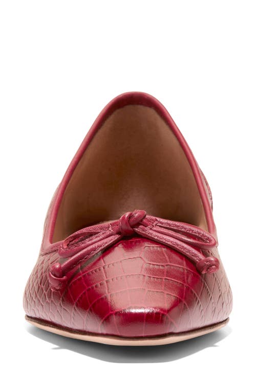 Cole Haan Chlea Pointed Toe Ballet Flat In Brown