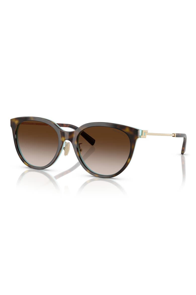 55mm Round Sunglasses, Alternate, color, HAVANA ON TIFFANY BLUE / BROWN