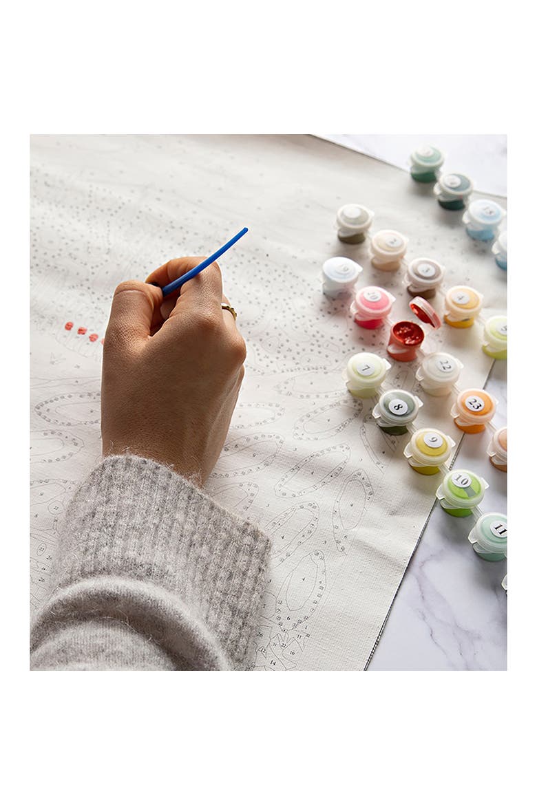 Paint By Numbers, Dining On The Rocks, DIY Painting Kit, Alternate, color, Multicolored