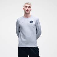 Nike Men's Nike Heather Gray Penn State Nittany Lions Tech Fleece Raglan Sweatshirt