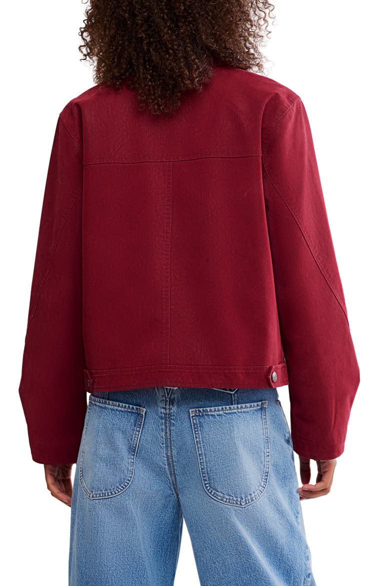 Blair Faux Suede Jacket, Alternate, color, DIONYSUS