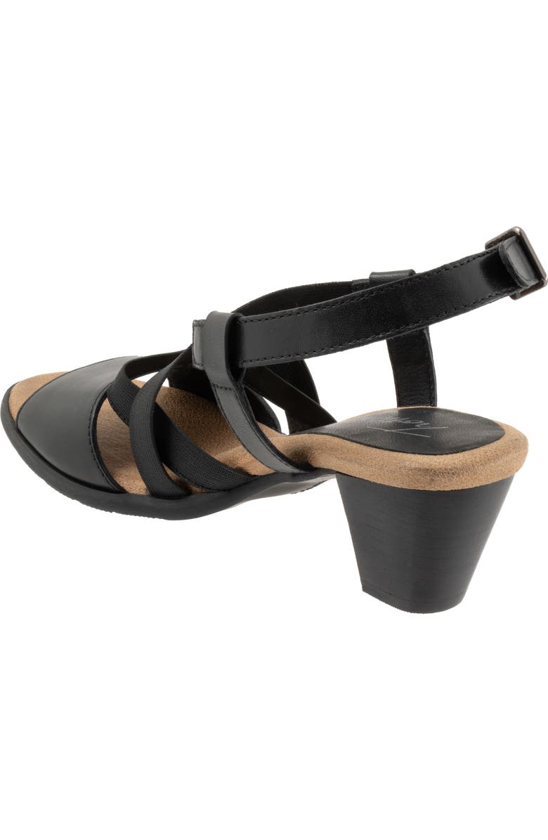 Trotters Meadow Ankle Strap Sandal, Alternate, color, Black