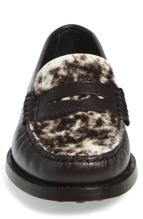 Tod's Mixed Media Loafer In Brown