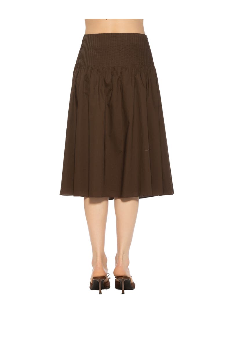 Esme Pintuck Waist Full Poplin Skirt, Alternate, color, Brown