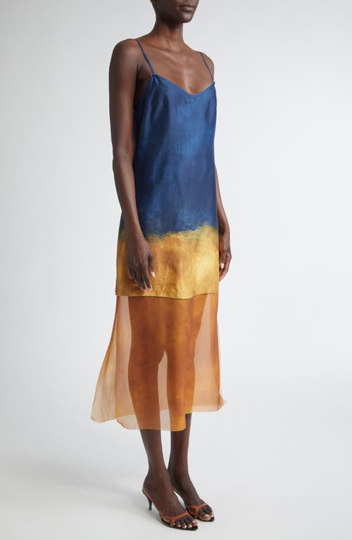 Jason Wu Collection Painted Stripe Slip Dress With Organza Underlayer