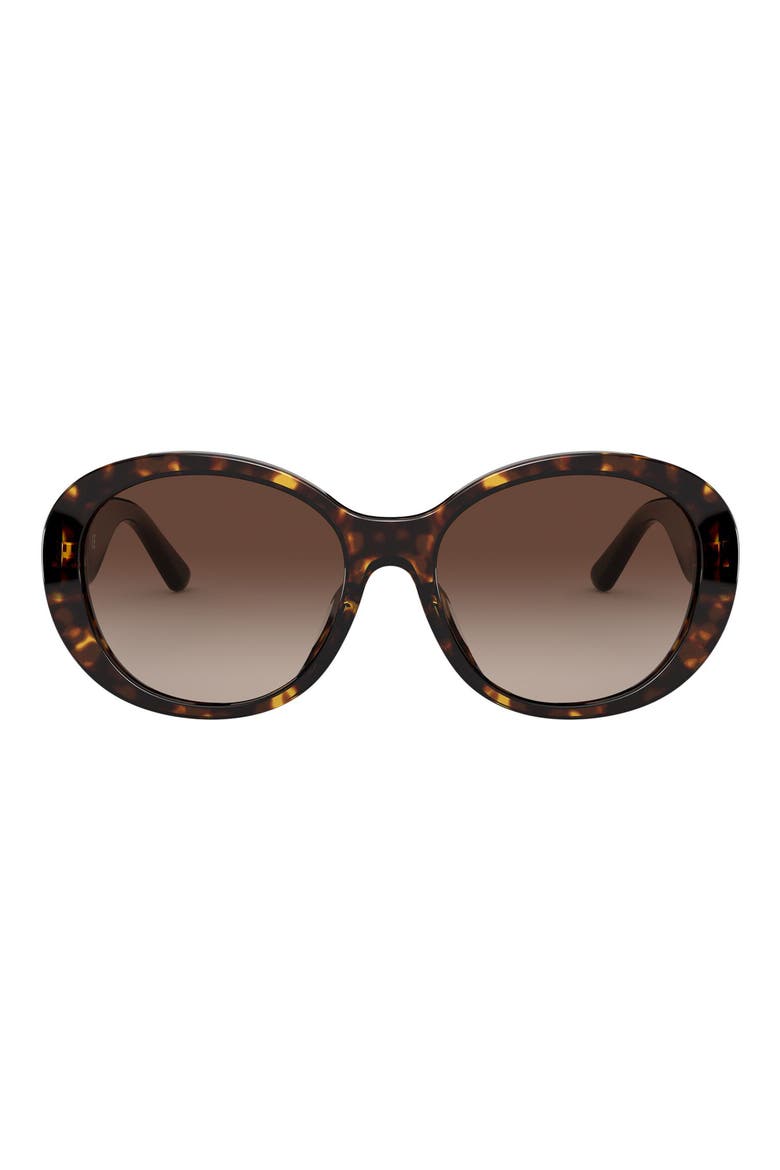 55mm Oval Sunglasses, Main, color, DK TORT