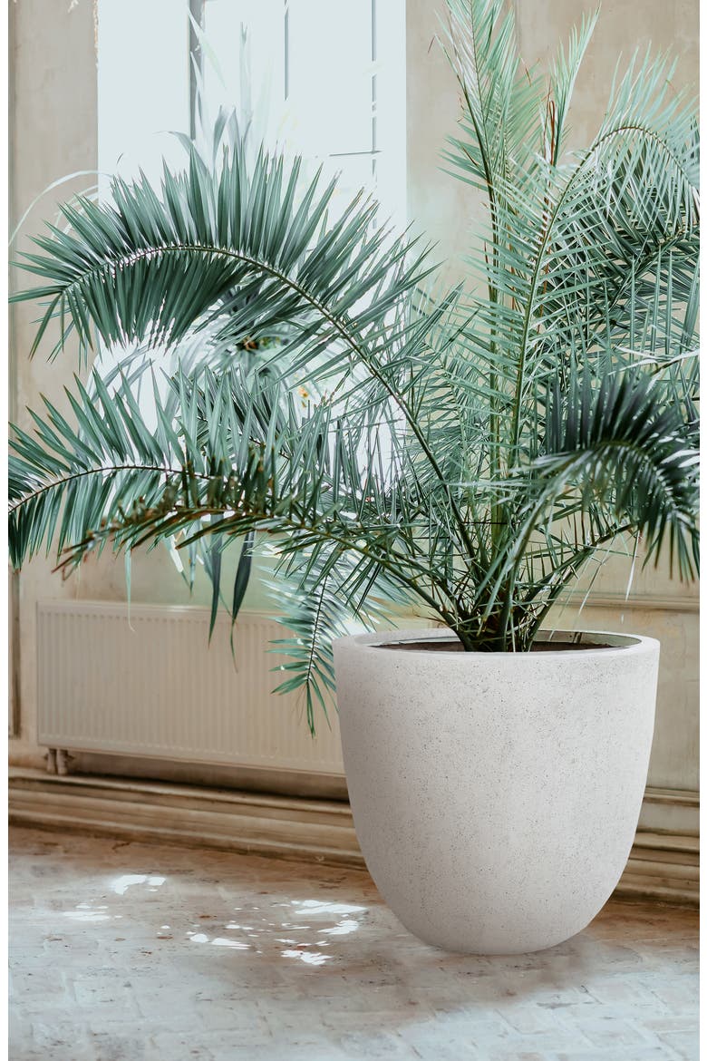 Noemie Stoneware Teacup Planter, Alternate, color, NATURAL
