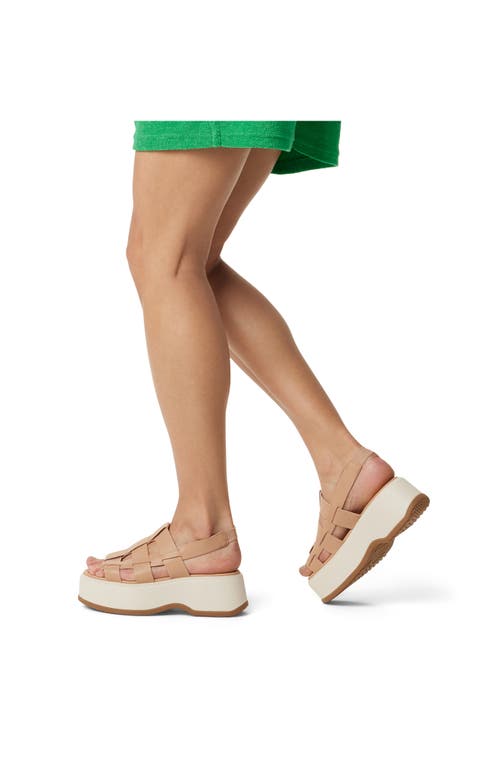 Sorel Dayspring Slingback Platform Sandal In Honest Beige/chalk