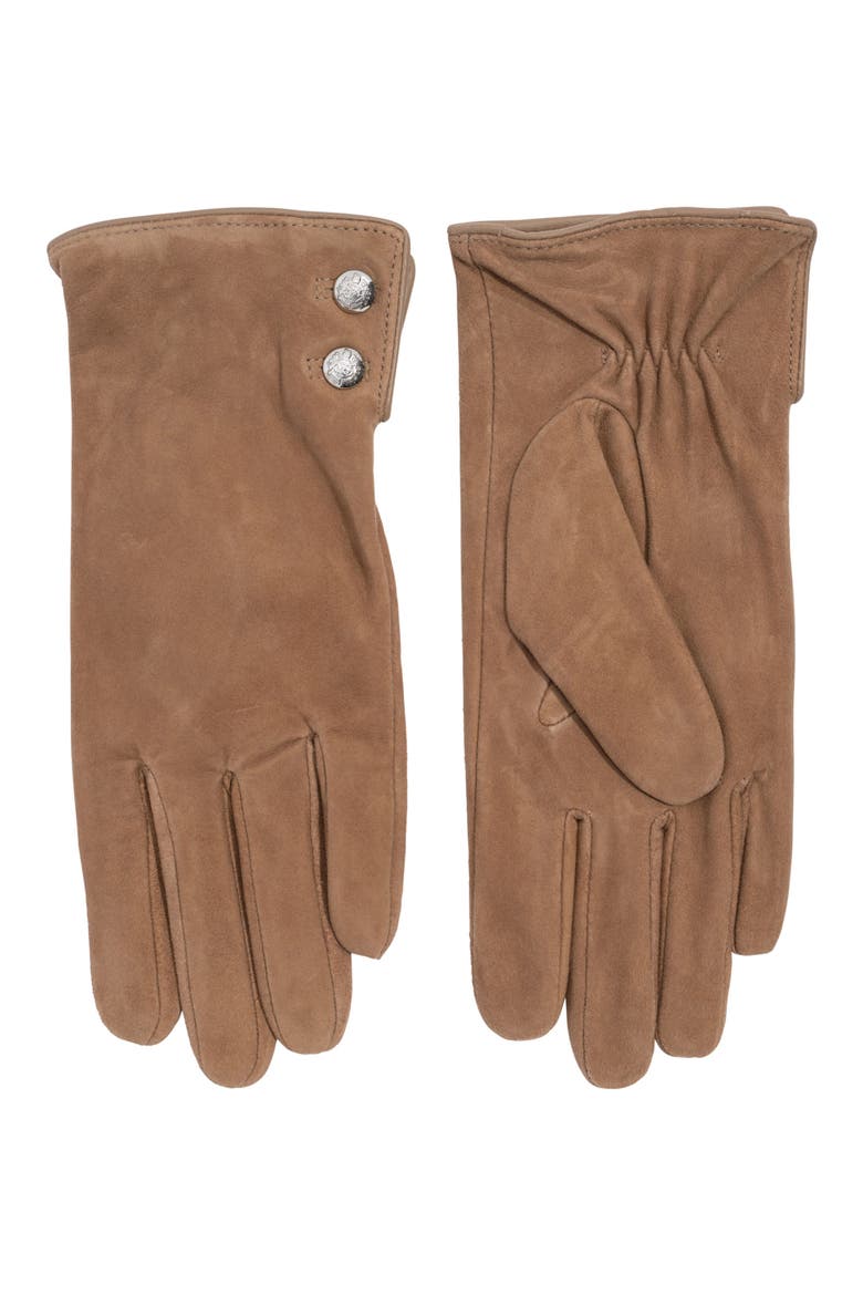 Crest Button Suede Gloves, Main, color, TAUPE